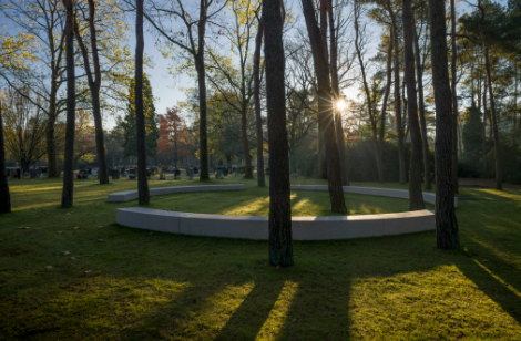 Forest setting around the memorial
